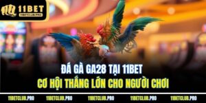 Đá Gà GA28 Tại 11BET - Cơ Hội Thắng Lớn Cho Người Chơi